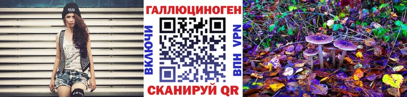 Псилоцибиновые грибы Psilocybine cubensis  Купить где  Осташков 